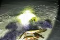 Utenos aplinkosaugininkams įkliuvę nelegalūs žvejai nekreipė dėmesio ir į ploną ledą