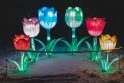 Botanikos sode – magiškas šviesų festivalis (nuotraukų galerija)