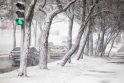Gausus sniegas Vilniuje