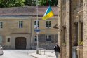 Vilniaus politikai kviečia per NATO viršūnių susitikimą iškelti Ukrainos vėliavas