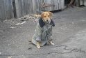 Įrodyta: meilė ir rūpestis, atiduotas geriausiam žmogaus draugui, grįžta su kaupu.
