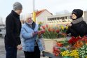 Šventė: gėlių prekeiviai uostamiestyje jau ruošiasi kovo 8-osios prekybai.