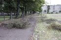 Darbai: palei Vitės progimnazijos stadioną augančių medžių šakas praretino ir vėjas, ir kiemsargis.