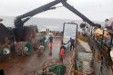 Verslas: bendrovės „Arctic Fishing“ žvejai Barenco jūroje gaudė krabus.