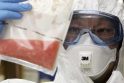 Kiaulių gripas verčia VMVT dirbti visą parą