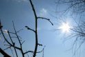 Orai: savaitgalį į Lietuvą atkeliavo tikras pavasaris Orai: savaitgalį į Lietuvą atkeliavo tikras pavasaris