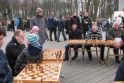 Klaipėdos skulptūrų parke žaidžiama ne tik šachmatais