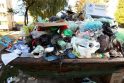 Kaune bus parinktos vietos atliekų konteineriams