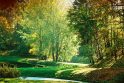 Į gimtąjį uostamiestį sugrįžo su fotoparoda Į gimtąjį uostamiestį sugrįžo su fotoparoda