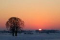 Pirmąją metų savaitę - žiemiški orai Pirmąją metų savaitę - žiemiški orai