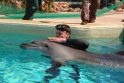 Delfinai jau apsipranta Graikijoje