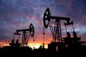 Naftos žaliavos kaina pasiekė šių metų aukštumas