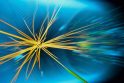 Higgso bozonas – galvos skausmas Nobelio premijos komitetui