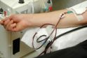 Apie kraujo donorystę diskutuos gydytojai, politikai ir vienuoliai 