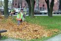 Medžių lapus uostamiesčio parkuose paliks supūti