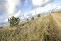 Pajudėjo žemės susigrąžinimas Vilniaus krašte Pajudėjo žemės susigrąžinimas Vilniaus krašte