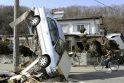 Japonijoje skelbiamas dar vieno cunamio pavojus