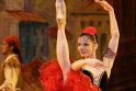Rusijos Didįjį teatrą palieka du žymiausi baleto šokėjai