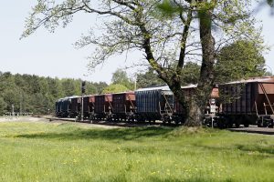 Atidėtas Girulių draustinio steigimo klausimas: naujas statusas neturės jokių galių?