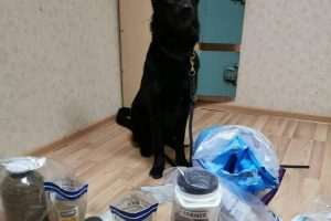 Rokiškio rajone – kratos: aptiktas didelis kiekis narkotikų
