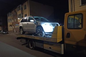 Biržų rajone medžiotojas neteisėtai nušovė šernę: įtariama, kad ji buvo vaikinga