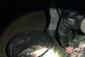 Kalvarijoje ir Telšių rajone sulaikyti brakonieriai: turėjo 29 neteisėtus žvejybos įrankius