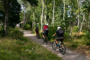 Klaipėdos apskrityje tvarkoma 18 kilometrų dviračių takų, dar dvigubai tiek laukia eilės