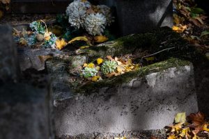 Kapinėse Alytaus rajone išvartyti paminklai