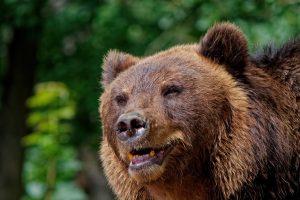 Japonijoje traukiniui partrenkus lokį, nakčiai įstrigę keleiviai turėjo šalti