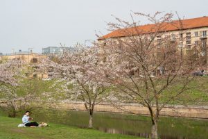 Antradienį termometrų stulpeliai šoktels iki 27 laipsnių, vėliau įsivyraus pavasariški orai