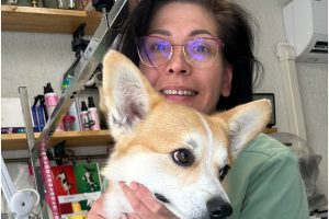 Veterinarė G. Bertauskienė: augintiniai neturėtų būti aukščiau nei žmonės