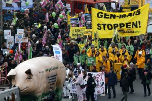 Vokietijos ūkininkai protestuoja prieš GMO