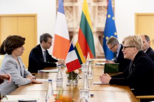 Premjerė su Prancūzijos diplomatijos vadove aptarė paramą Ukrainai, šalių partnerystę