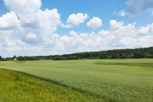 Nuostolių patiriantys ūkininkai siūlosi nupirkti daugiau meteorologinių stotelių