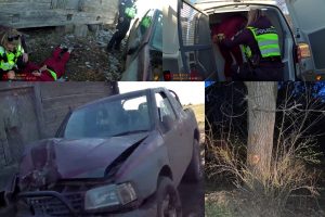 Girtų jaunuolių nuotykiai per šv. Velykas baigėsi kaktomuša į medį: prireikė medikų pagalbos