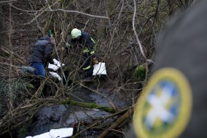 Vyriausybė spręs dėl griežtesnių baudų už aplinkosaugos pažeidimus