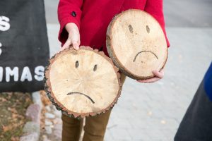 Miškininkai svarsto kreiptis dėl lankymosi miškuose ribojimo ar draudimo