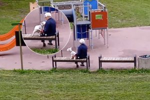Galimos zoofilijos istorijoje – lemiamas posūkis: pareigūnai pasikalbėjo su šuns savininke
