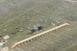 Skandalinga tragikomedija: tiesdami medinį taką iškirto visą mišką