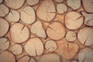 Medienos pramonė nestabdys medienos pirkimo iš Valstybinių miškų urėdijos