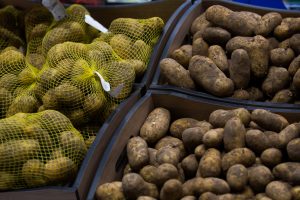 Bulvių augintojai: derlius bus prastesnis negu pernai, bulvės brangs