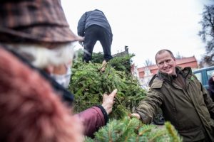 Urėdija: gyventojams išdalinta apie 100 tūkst. eglišakių