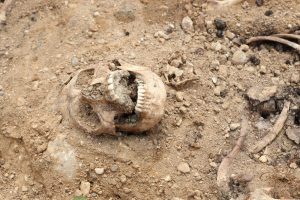 Radviliškio rajone rasta žmogaus kaukolė