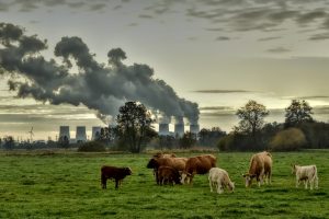 JT vadovas klimato derybose: turime nutraukti kaltinimų žaidimą