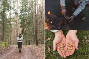 Anykščių šilelis – patraukliausių sveikatos turizmo vietovių penketuke