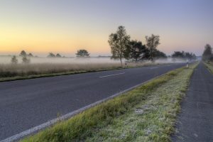 Kitą savaitę žolė pasidengs šalna? 