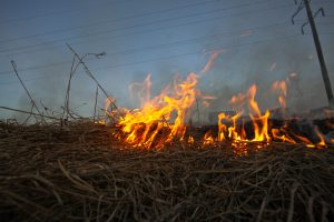 Žolės degintojai Kauno apskritį siekia paversti šalies antirekordininke