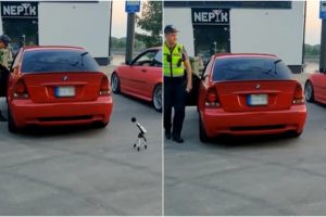 Prie Kauno marių – neeilinis policijos reidas: tikrino, ar automobiliai nekelia triukšmo