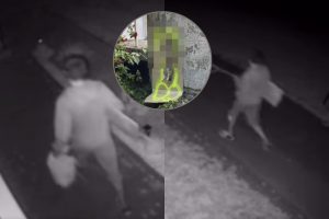 Dėl katino egzekucijos Kaune žmonės nenuleidžia rankų: viešina galimo sadisto vaizdo įrašą