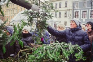 Miškininkai vėl kvies parsinešti Kalėdas į savo namus: kur eglišakės bus dalijamos Kaune?
